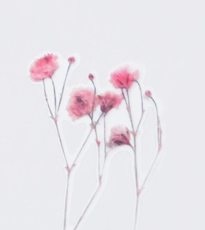 Naklejki Kwiaty Łyszczec