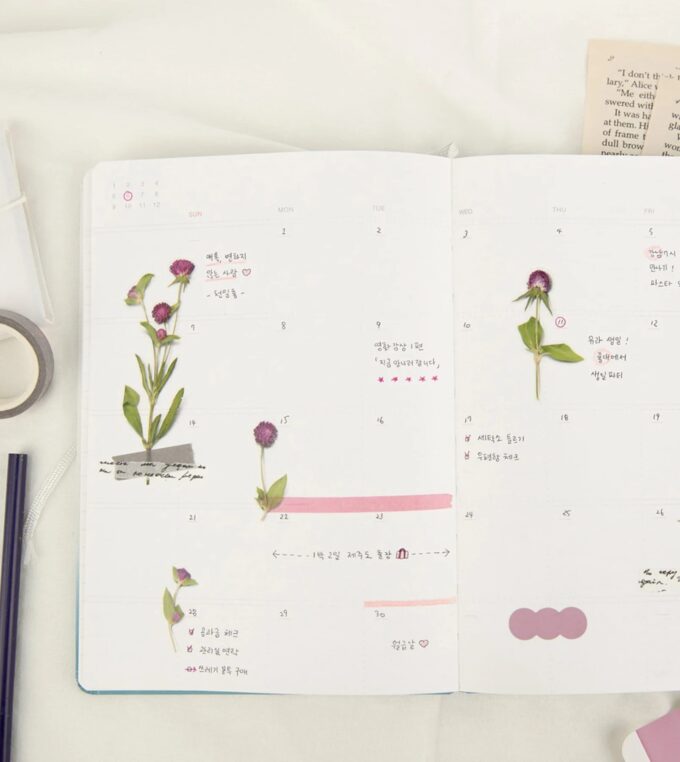 Naklejki Kwiaty Wiecznik Kulisty