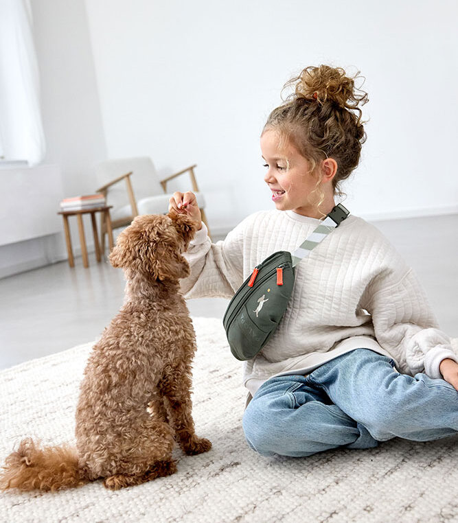 Torebka nerka na smakołyki dla psa Enja mini Olive